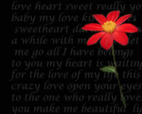 lovewords