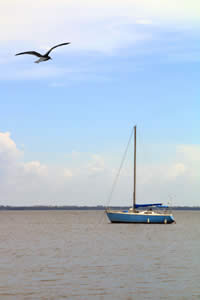 BlueBoat