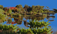 GlowingLake