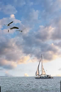 SailingSkies