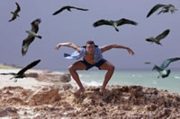 FlyingwiththeBirds