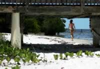 StrollinontheBeach